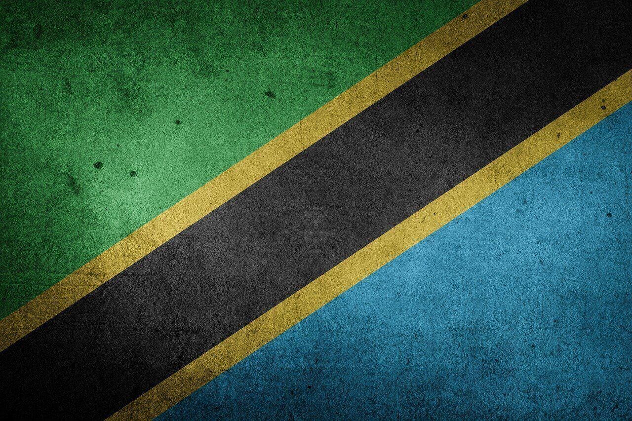 Tanzania flag grunge