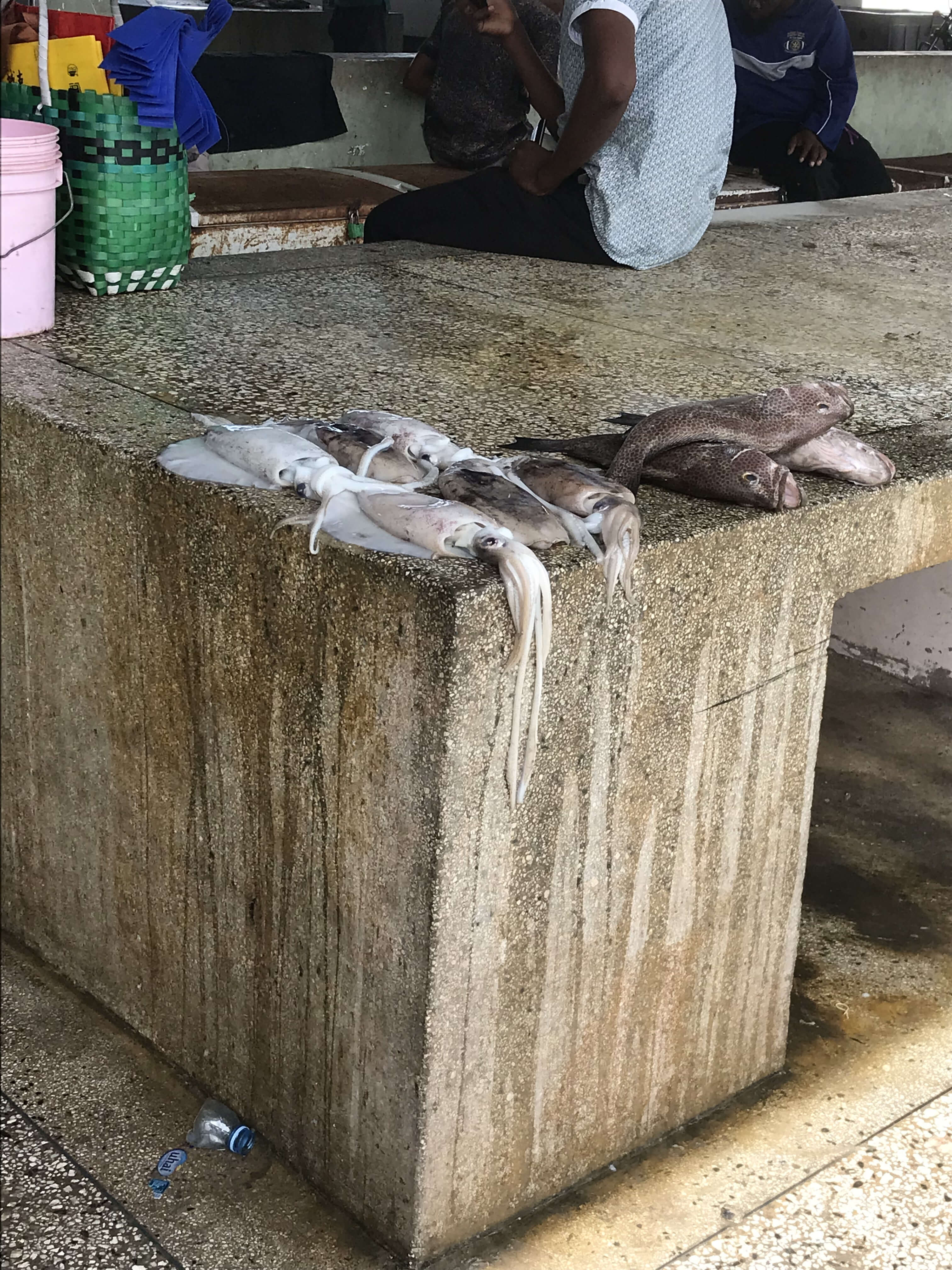 Octopus presented on a counter